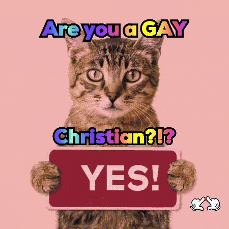 A Cat Holding A Sign That Says " Yes " GIF