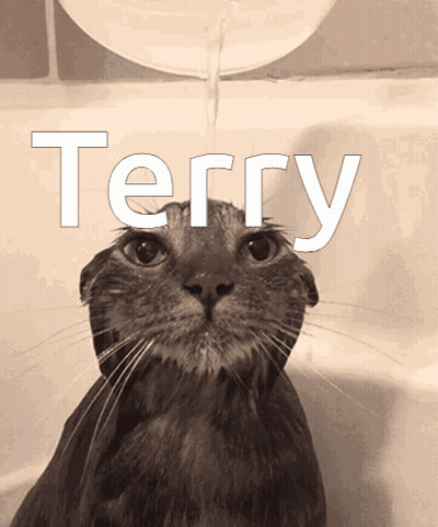 A Cat In A Bathtub With The Word Terry On The Bottom GIF