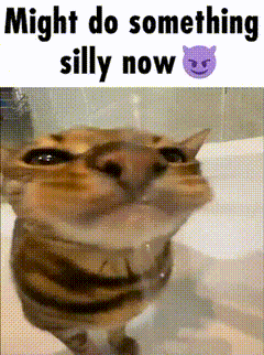 A Cat In A Bathtub With The Words Might Do Something Silly Now GIF