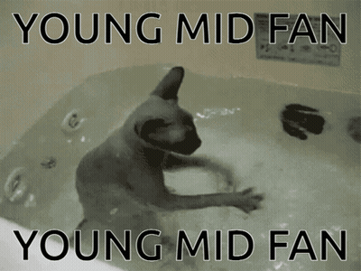 A Cat In A Bathtub With The Words Young Mid Fan Young Mid Fan GIF