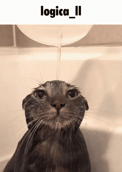 A Cat In A Bathtub With Water Being Poured On It And The Words Logica_ii Above It GIF