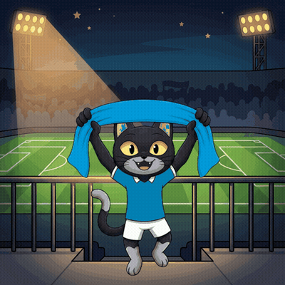 A Cat In A Blue Shirt Holds A Blue Scarf Over Its Head GIF
