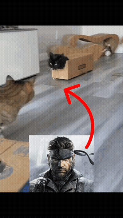 A Cat In A Box Next To A Picture Of Snake GIF