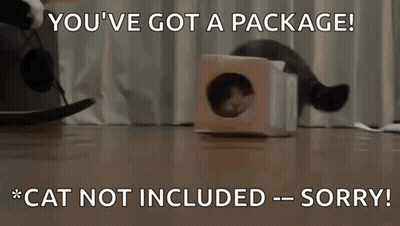 A Cat In A Cardboard Box With A Caption That Says " You 'Ve Got A Package Cat Not Included Sorry " GIF