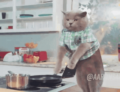 A Cat In A Plaid Shirt Is Standing On Its Hind Legs Holding A Frying Pan GIF