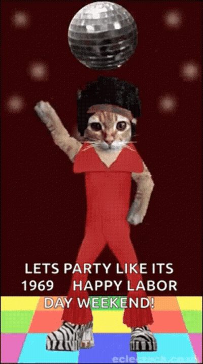 A Cat In A Red Jumpsuit Is Dancing With A Disco Ball In The Background GIF