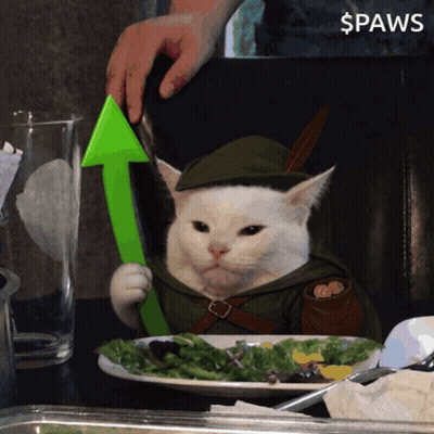 A Cat In A Robin Hood Costume Holds A Green Arrow GIF