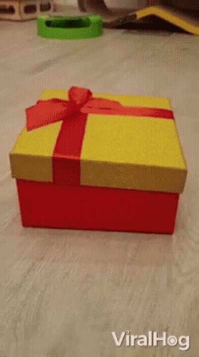 A Cat In A Santa Hat Is Coming Out Of A Gift Box GIF