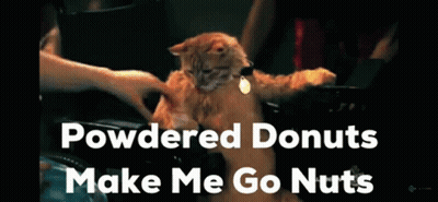 A Cat In A Wheelchair With The Words " Powdered Donuts Make Me Go Nuts " Below It GIF