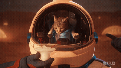 A Cat In An Astronaut 'S Helmet With A Netflix Logo Behind It GIF
