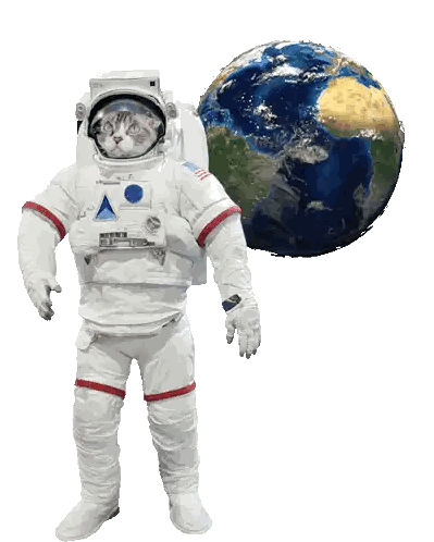 A Cat In An Astronaut 'S Suit Stands In Front Of A Globe Sticker