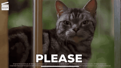 A Cat Is Behind A Sign That Says " Please " GIF