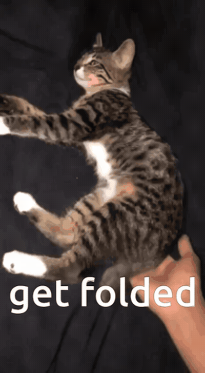 A Cat Is Being Held By A Person With The Words Get Folded On The Bottom GIF