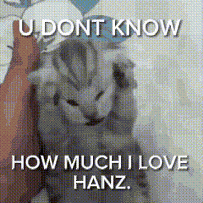A Cat Is Being Held By A Person With The Words `` U Dont Know How Much I Love Hanz '' Written On It . GIF