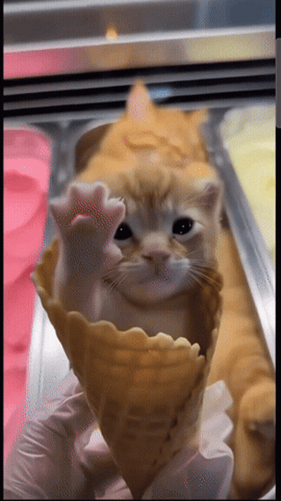 A Cat Is Being Held In An Ice Cream Cone By A Person Wearing Gloves GIF