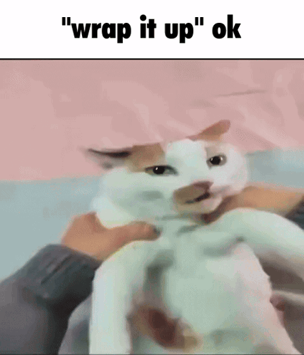 A Cat Is Being Held In Someone 'S Arms And Says `` Wrap It Up `` Ok . GIF