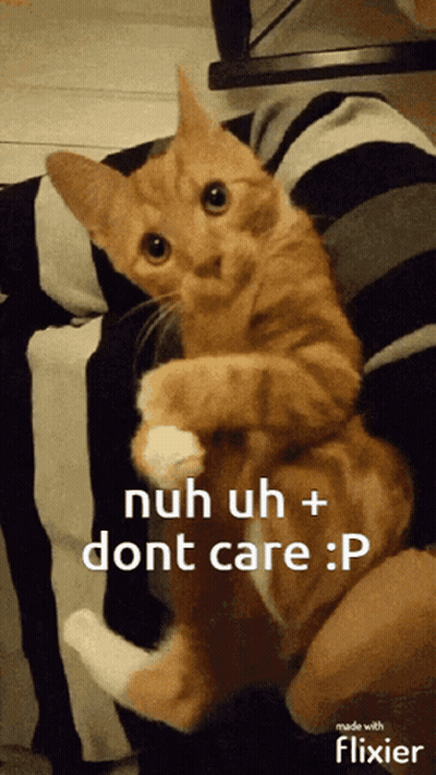 A Cat Is Being Held In Someone 'S Arms With The Caption Nuh Uh + Dont Care GIF