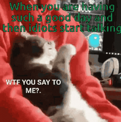 A Cat Is Being Held In Someone 'S Lap With A Caption That Says " When You Are Having Such A Good Day GIF