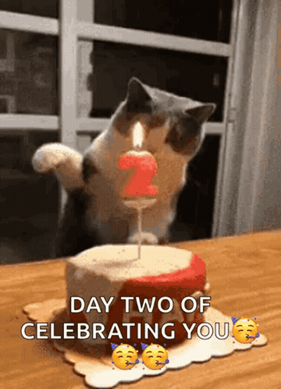A Cat Is Blowing Out A Candle On A Birthday Cake . GIF