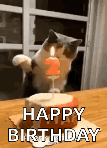 A Cat Is Blowing Out A Number Two Candle On A Birthday Cake . GIF
