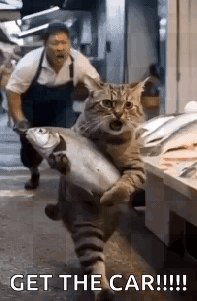 A Cat Is Carrying A Large Fish In Its Paws While A Man Looks On . GIF