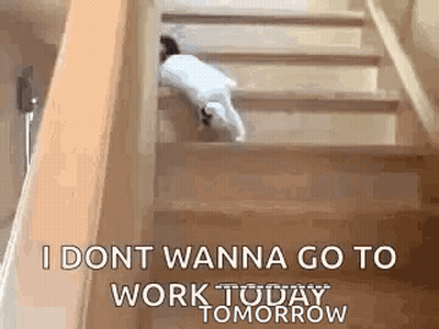A Cat Is Climbing Up A Set Of Stairs . GIF