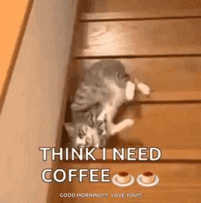A Cat Is Climbing Up A Set Of Wooden Stairs And Says " Think I Need Coffee " GIF
