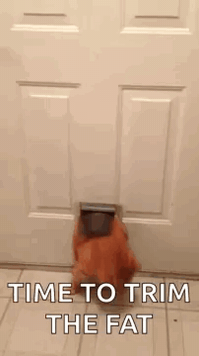 A Cat Is Coming Out Of A Cat Door And Says `` Time To Trim The Fat '' . GIF