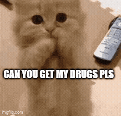 A Cat Is Covering Its Face Next To A Remote Control With The Words Can You Get My Drugs Pls GIF