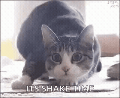 A Cat Is Crawling On The Floor With The Words `` It 'S Shake Time '' Written Below It . GIF