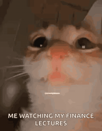 A Cat Is Crying While Watching His Finance Lectures . GIF