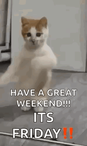 A Cat Is Dancing On Its Hind Legs With The Words `` Have A Great Weekend !!! It 'S Friday '' . GIF