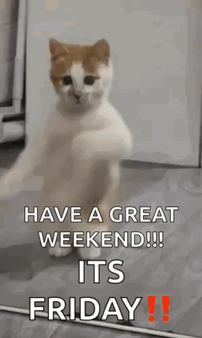 A Cat Is Dancing On Its Hind Legs With The Words `` Have A Great Weekend !!! Its Friday ! '' GIF