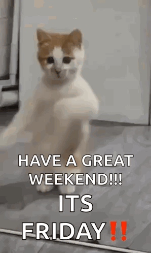 A Cat Is Dancing On Its Hind Legs With The Words `` Have A Great Weekend !!! Its Friday '' . GIF