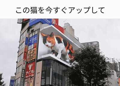 A Cat Is Displayed On The Side Of A Building With Chinese Writing GIF