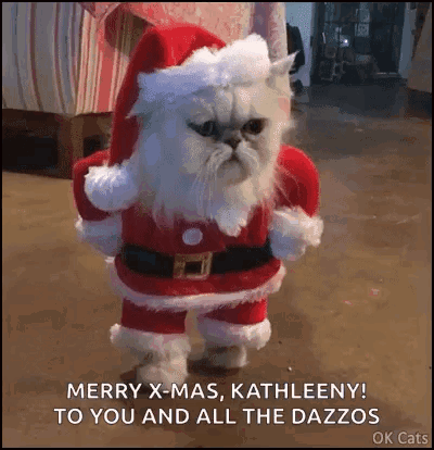 A Cat Is Dressed In A Santa Claus Costume And Says Merry X-Mas To You And All The Dazzos . GIF