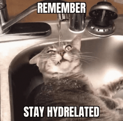 A Cat Is Drinking Water From A Faucet In A Sink GIF
