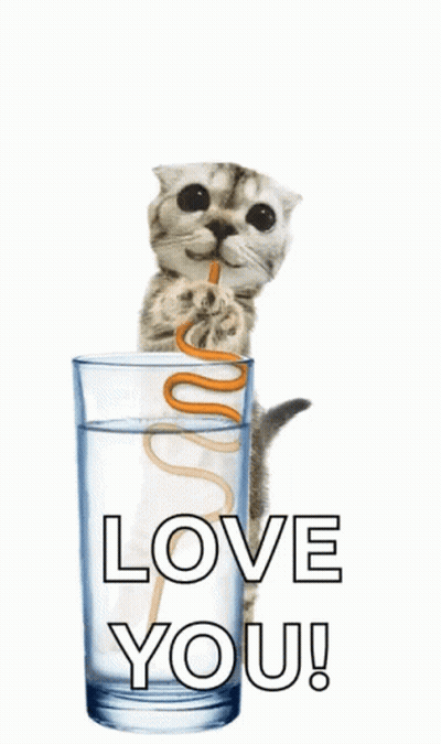 A Cat Is Drinking Water From A Glass With A Straw And Says " Love You " GIF