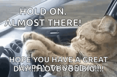 A Cat Is Driving A Car And Says Hold On Almost There Hope You Have A Great Day GIF