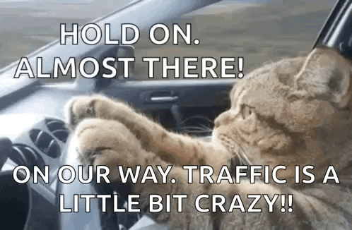 A Cat Is Driving A Car And Says Hold On Almost There On Our Way Traffic Is A Little Bit Crazy GIF