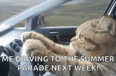 A Cat Is Driving A Car With A Caption That Says " We Driving To The Summer Parade Next Week " GIF