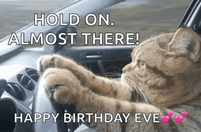 A Cat Is Driving A Car With The Caption Hold On Almost There GIF