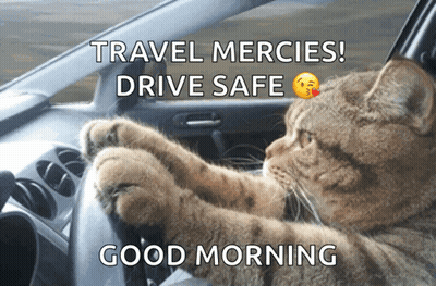 A Cat Is Driving A Car With The Caption Travel Mercies Drive Safe GIF