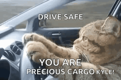 A Cat Is Driving A Car With The Words `` Drive Safe You Are Precious Cargo Kyle '' . GIF