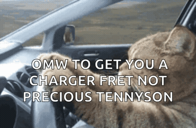 A Cat Is Driving A Car With The Words Omw To Get You A Charger Fret Not Precious Tennyson Below It GIF
