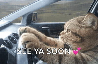 A Cat Is Driving A Car With The Words See Ya Soon Written On The Bottom GIF
