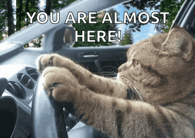 A Cat Is Driving A Car With The Words You Are Almost Here GIF