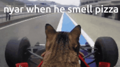 A Cat Is Driving A Race Car With The Words Nyar When He Smell Pizza GIF
