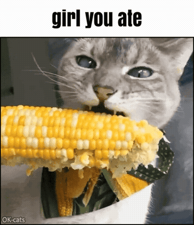 A Cat Is Eating A Piece Of Corn On The Cob GIF