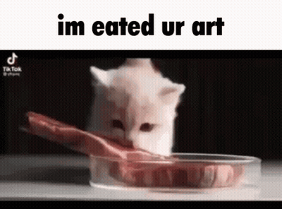 A Cat Is Eating A Piece Of Meat Out Of A Bowl . GIF